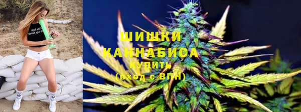 сатива Алзамай