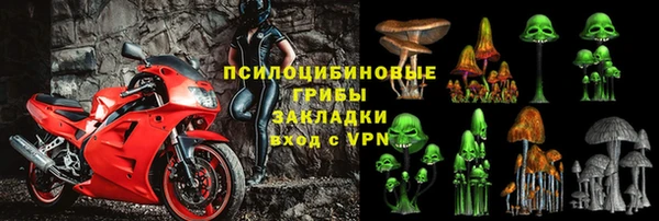 сатива Алзамай
