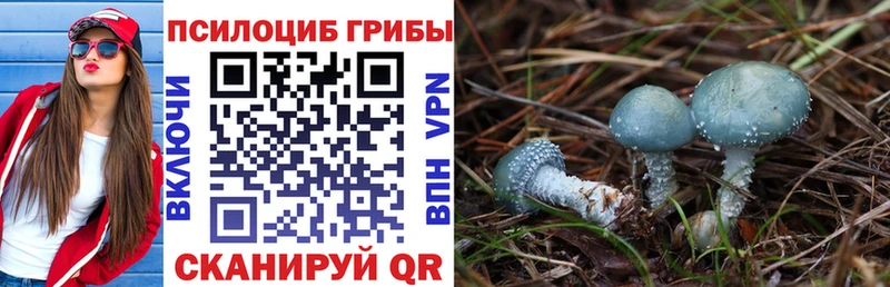 Псилоцибиновые грибы GOLDEN TEACHER  цены   Тара 